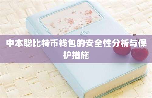 中本聪比特币钱包的安全性分析与保护措施