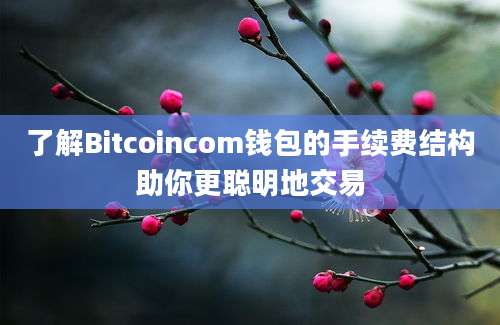 了解Bitcoincom钱包的手续费结构助你更聪明地交易