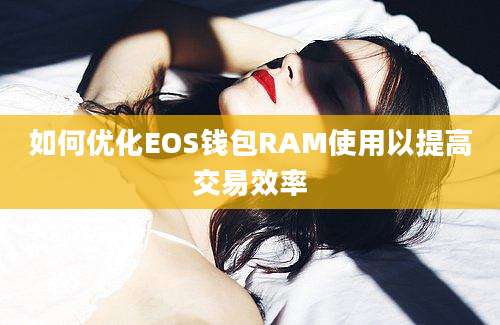 如何优化EOS钱包RAM使用以提高交易效率