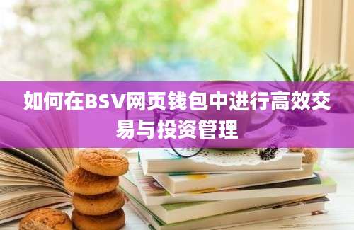 如何在BSV网页钱包中进行高效交易与投资管理