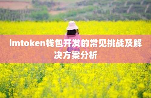 imtoken钱包开发的常见挑战及解决方案分析