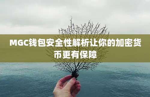 MGC钱包安全性解析让你的加密货币更有保障