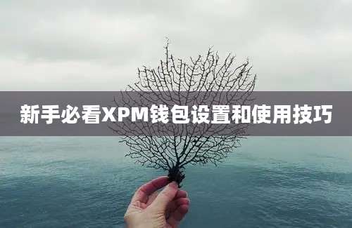 新手必看XPM钱包设置和使用技巧