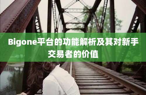 Bigone平台的功能解析及其对新手交易者的价值