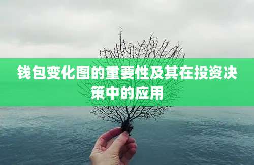 钱包变化图的重要性及其在投资决策中的应用