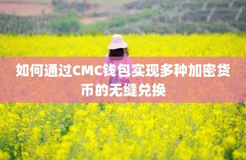 如何通过CMC钱包实现多种加密货币的无缝兑换