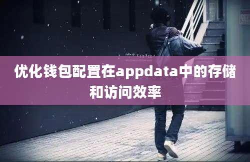 优化钱包配置在appdata中的存储和访问效率