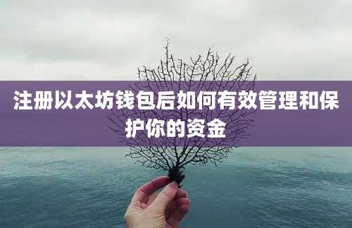 注册以太坊钱包后如何有效管理和保护你的资金