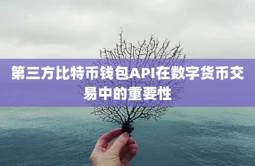 第三方比特币钱包API在数字货币交易中的重要性