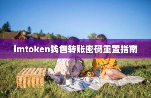 imtoken钱包转账密码重置指南