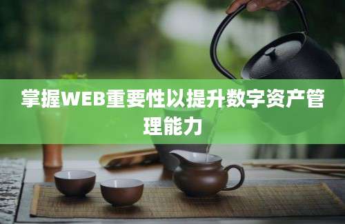 掌握WEB重要性以提升数字资产管理能力