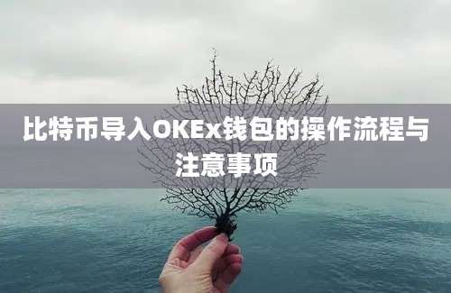 比特币导入OKEx钱包的操作流程与注意事项