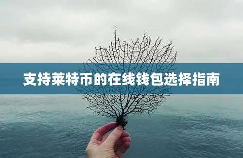 支持莱特币的在线钱包选择指南