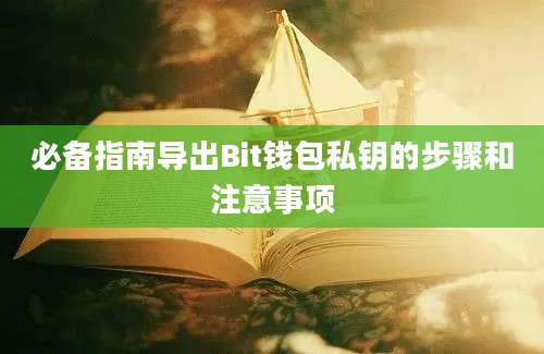 必备指南导出Bit钱包私钥的步骤和注意事项