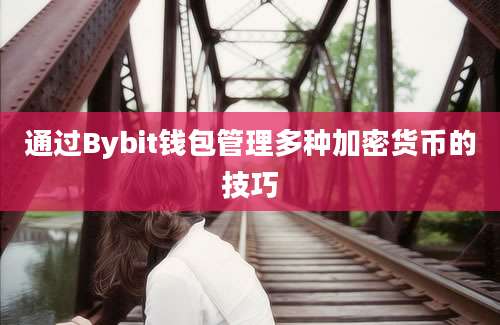 通过Bybit钱包管理多种加密货币的技巧