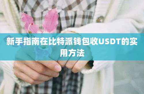 新手指南在比特派钱包收USDT的实用方法