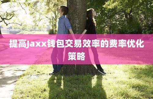 提高Jaxx钱包交易效率的费率优化策略