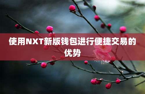 使用NXT新版钱包进行便捷交易的优势