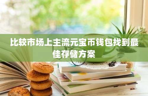 比较市场上主流元宝币钱包找到最佳存储方案