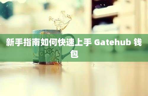 新手指南如何快速上手 Gatehub 钱包