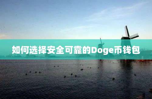 如何选择安全可靠的Doge币钱包