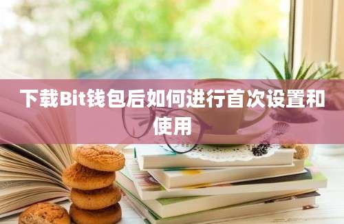 下载Bit钱包后如何进行首次设置和使用