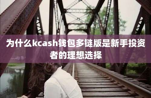 为什么kcash钱包多链版是新手投资者的理想选择