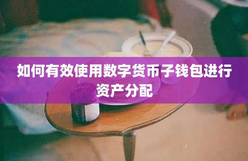 如何有效使用数字货币子钱包进行资产分配