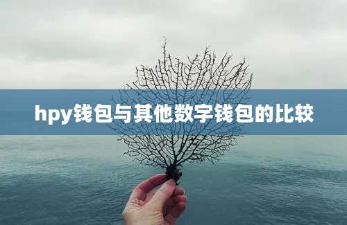 hpy钱包与其他数字钱包的比较