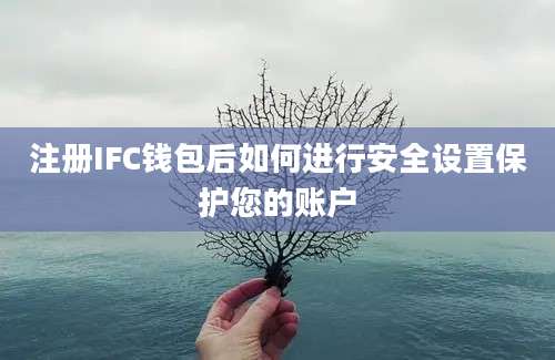 注册IFC钱包后如何进行安全设置保护您的账户