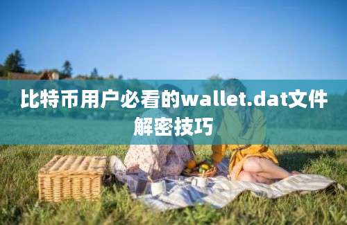 比特币用户必看的wallet.dat文件解密技巧