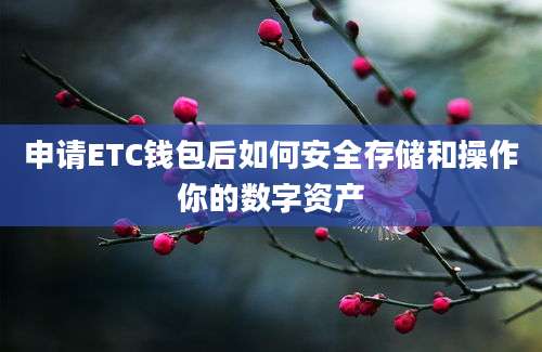 申请ETC钱包后如何安全存储和操作你的数字资产