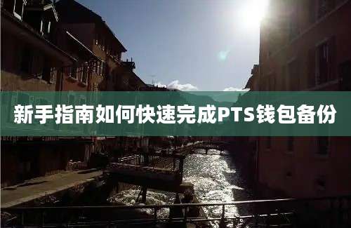 新手指南如何快速完成PTS钱包备份