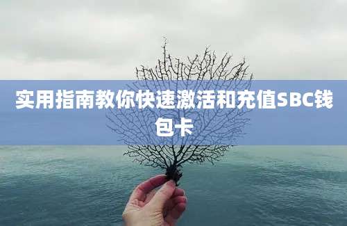 实用指南教你快速激活和充值SBC钱包卡