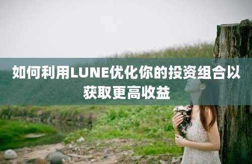 如何利用LUNE优化你的投资组合以获取更高收益