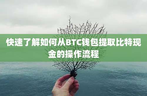 快速了解如何从BTC钱包提取比特现金的操作流程