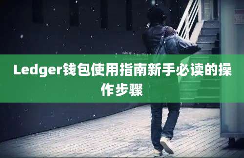 Ledger钱包使用指南新手必读的操作步骤