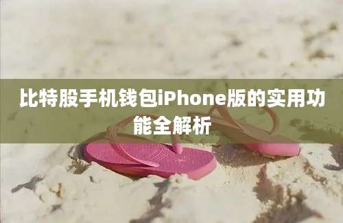 比特股手机钱包iPhone版的实用功能全解析