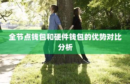 全节点钱包和硬件钱包的优势对比分析