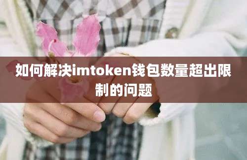 如何解决imtoken钱包数量超出限制的问题