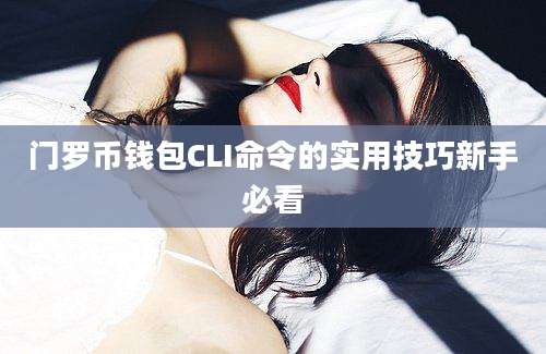 门罗币钱包CLI命令的实用技巧新手必看