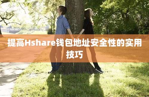 提高Hshare钱包地址安全性的实用技巧