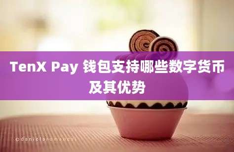 TenX Pay 钱包支持哪些数字货币及其优势