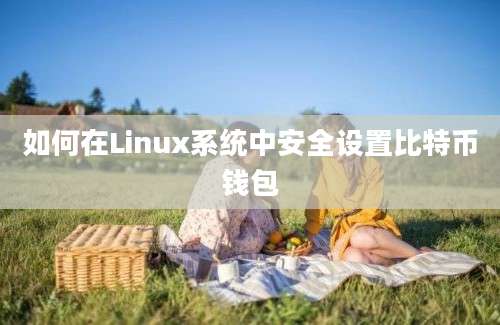 如何在Linux系统中安全设置比特币钱包