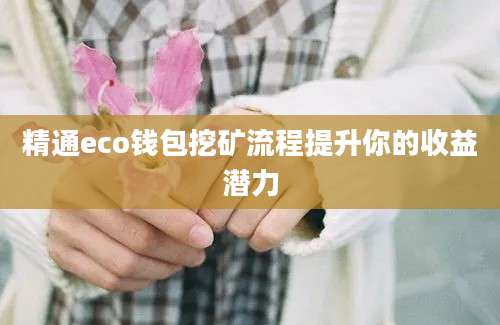 精通eco钱包挖矿流程提升你的收益潜力