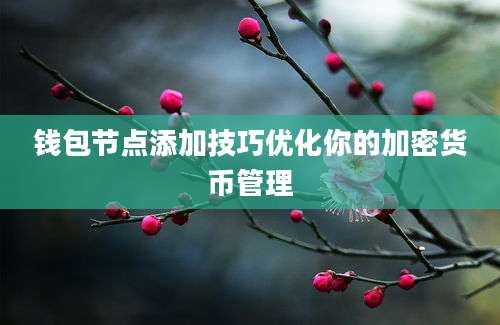 钱包节点添加技巧优化你的加密货币管理