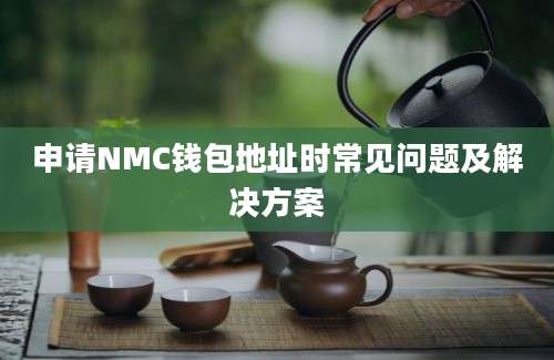 申请NMC钱包地址时常见问题及解决方案