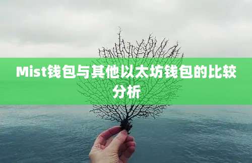 Mist钱包与其他以太坊钱包的比较分析