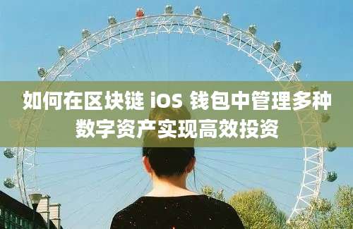 如何在区块链 iOS 钱包中管理多种数字资产实现高效投资