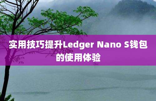 实用技巧提升Ledger Nano S钱包的使用体验